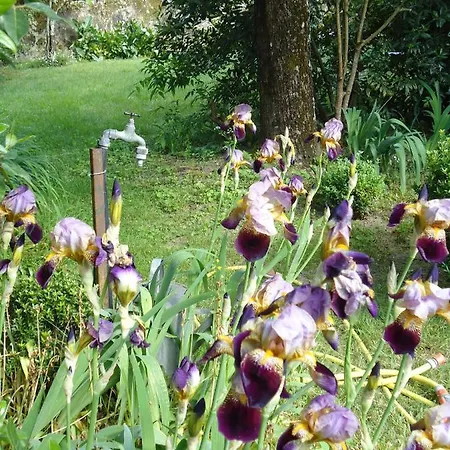 Le Clos D'iris Bed & Breakfast