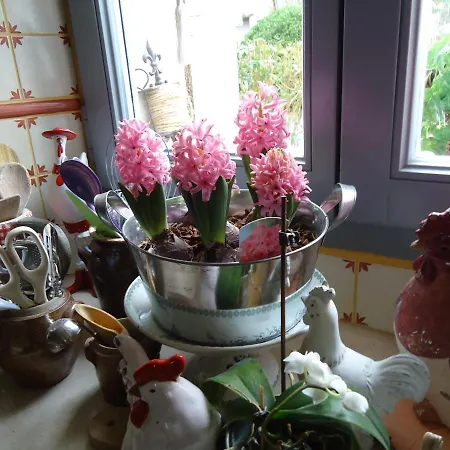 Le Clos D'iris Bed & Breakfast Fronsac (Gironde)